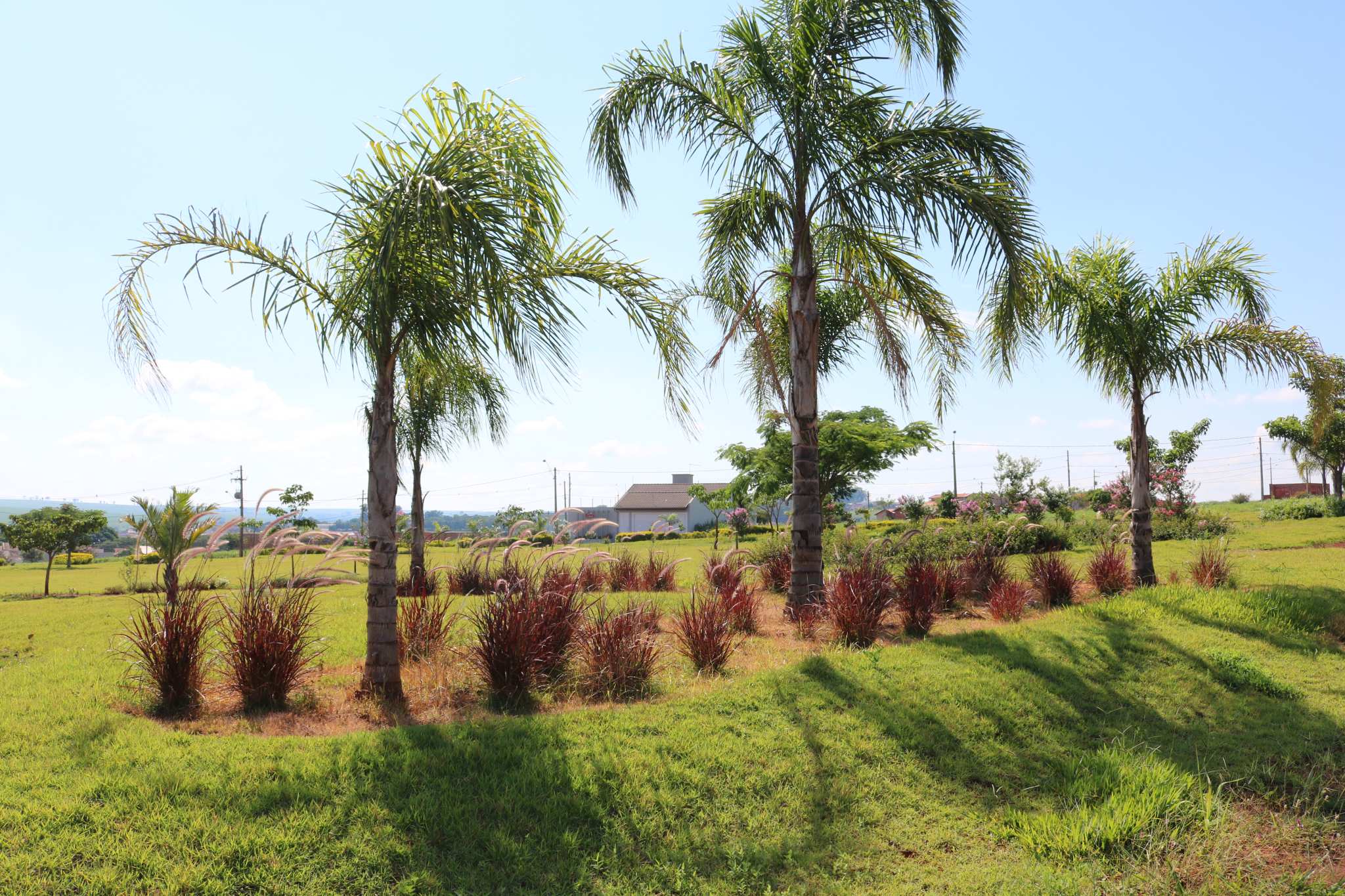 Residencial Girassol II